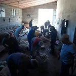 Fumu Ludurru Farm Farmház Padru