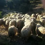 Fumu Ludurru Farm *