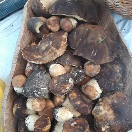 Фермерский дом Fumu Ludurru Farm