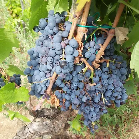 Fumu Ludurru Farm Фермерский дом *