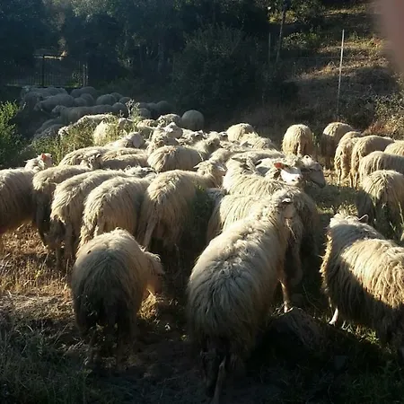 Fumu Ludurru Farm *