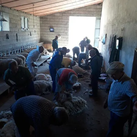Fumu Ludurru Farm Séjour à la ferme Padru