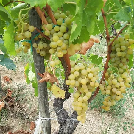 Fumu Ludurru Farm