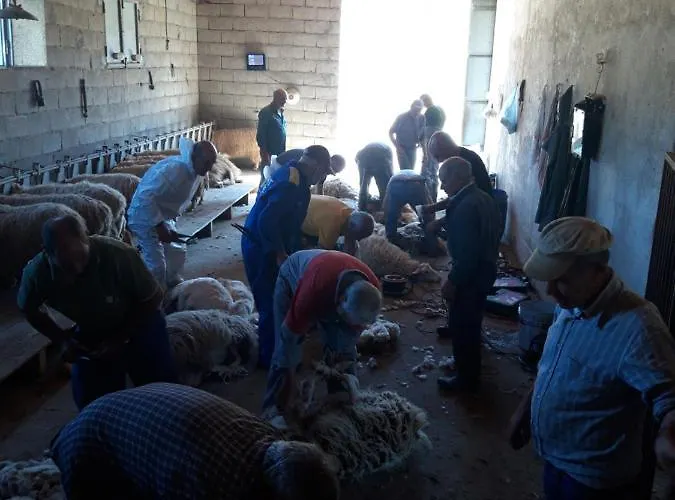 Fumu Ludurru Farm Alojamento de Turismo Rural Padru
