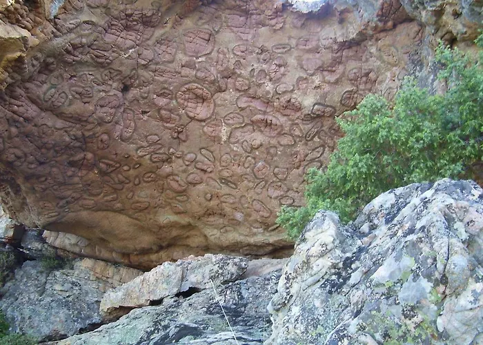 Fumu Ludurru Farm Farm stay Padru